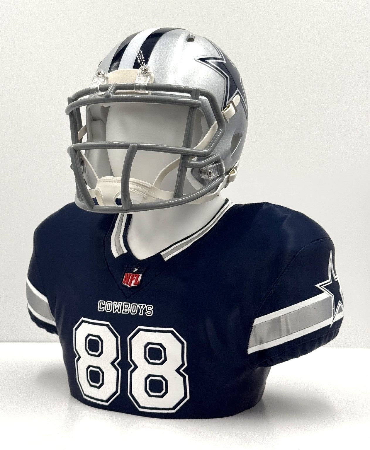 Personalized NFL & NCAA Inspired Mini Helmet Desktop Displays