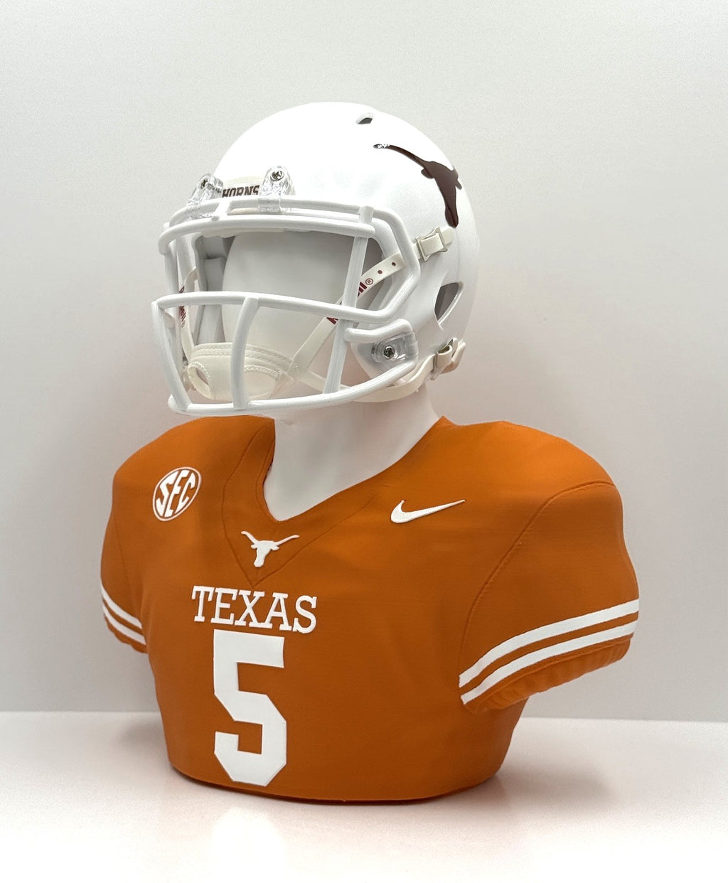Personalized NFL & NCAA Inspired Mini Helmet Desktop Displays