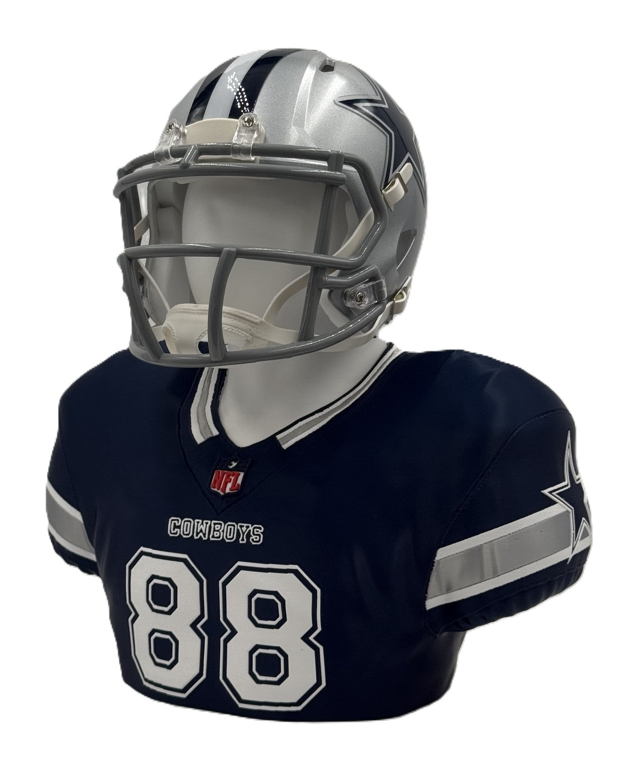 NFL & NCAA Mini Helmet Desktop Display Stand