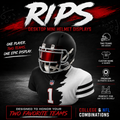 Customized RIPS for NFL & NCAA Inspired Mini Helmet Desktop Displays