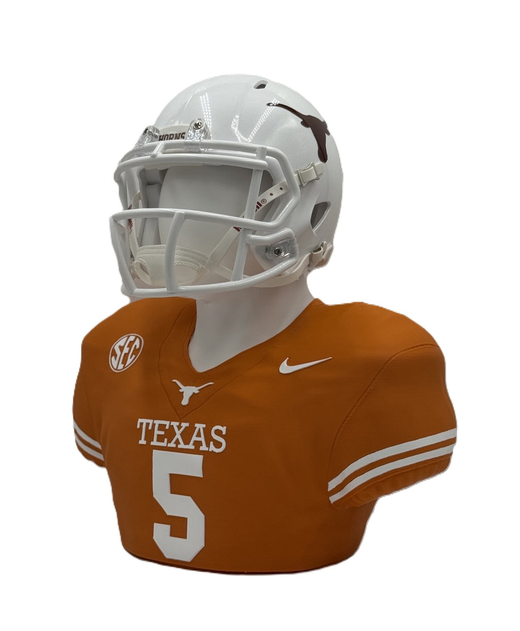 Personalized NFL & NCAA Inspired Mini Helmet Desktop Displays
